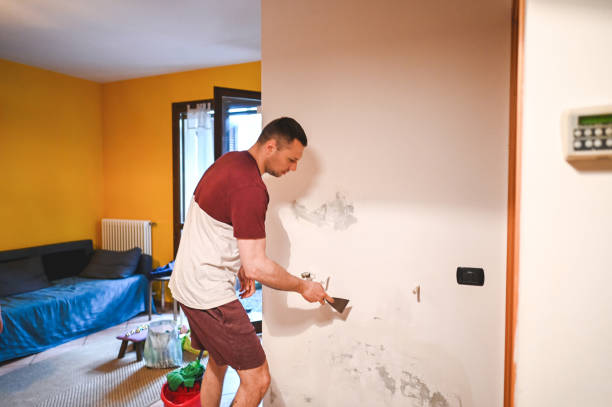 Best Mold Removal Specialists  in Lansing, IL